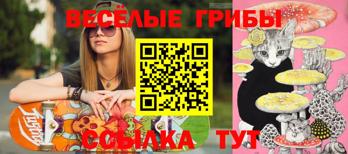 Ртищево  Галлюциногенные грибы Psilocybine cubensis  даркнет сайт  Галлюциногенные грибы ЛСД  Вход с VPN 