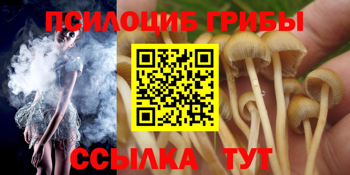 Галлюциногенные грибы Cubensis Ртищево